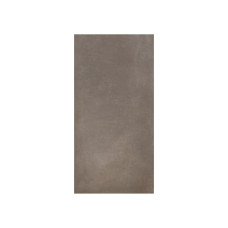 PLATINUM 12X24 FOREST