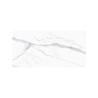 PORTO VENATO 24X48 POLISHED