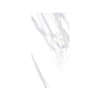 RENAISSANCE CALACATTA 24X48