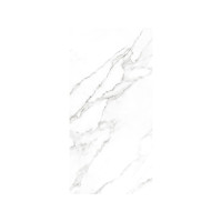 RENAISSANCE STATUARIO 24X48