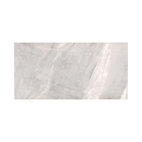 SANTA MAGDALENA GRIGIO 24X48