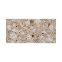 VENICE GOLD 24X48 POLISHED