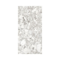 VENICE PEARL 12X24 POLISHED