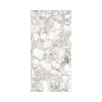 VENICE PEARL 12X24