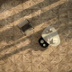 ALBERO 6 PARQUET FRESH 24