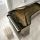 NEO POLISH VENATO 12X24