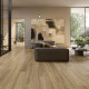 OPUS CLAY 8X48