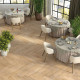 SIOUX CINNAMON 8X48