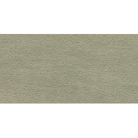 ELEGANCE PRO 24X48" TAUPE FIELD TILE