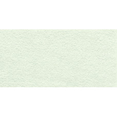 ELEGANCE PRO 12X24" WHITE FIELD TILE