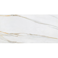 LM CALACATA GOLD 24x48 R UP