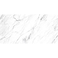 LM STATUARIO 40X80 R PO