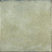 OLARIA GREEN LEAF 6x6