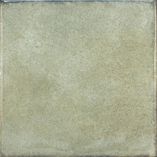 OLARIA GREEN LEAF 6x6