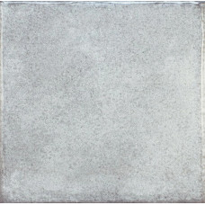 OLARIA WARM GRAY 6x6
