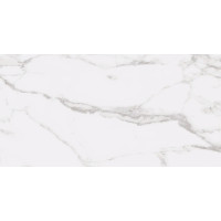 STATUARY WHITE 12X24 R UP