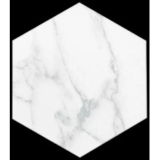 STATUARY 8X9 HEXAGON