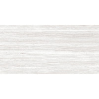 TREVI SILVER 12X24