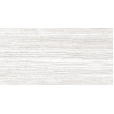 TREVI SILVER 12X24