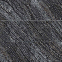 BLACK OAK 12X24 POLISHED
