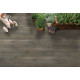 WOODHILLS BROOK TIMBER HICKORY