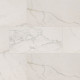 REGALLO CALACATTA ISLA 24X48 POLISHED