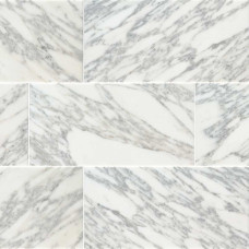 CALACATTA GOLD 12X24 HONED