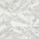 CALACATTA GOLD 12X24 HONED