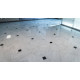 CARRARA WHITE (C) 12X12 HONED