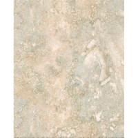 RELIC/ REGIS BEIGE 16X24