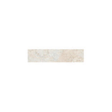 RELIC/ REGIS BEIGE 2X8