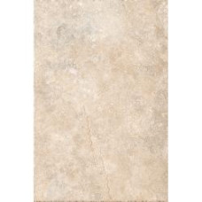 RELIC/ REGIS BEIGE 8X16