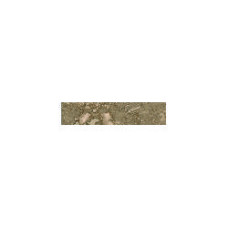 RELIC/ REGIS NOCE 2X8