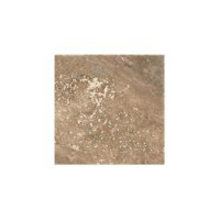 RELIC/ REGIS NOCE 8X8