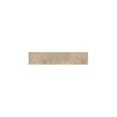 RELIC/ REGIS TORTORA 2X8