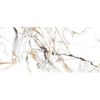 Elektra royal polished 24x48