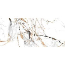 Elektra royal polished 24x48