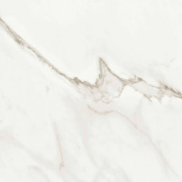 CALACATTA PRECIOUS MT 24X48