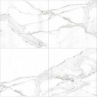 Elegance Statuario (ST) 24x48