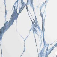 Calacatta Blue (Polished) 12x24