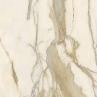 Calacatta Elite polished 12x24
