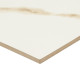 EDEN CALACATTA 12X24 POLISHED