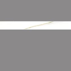 CAPRI CAVA 3X24 BULLNOSE