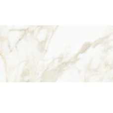 MASSA CALACATTA 12X24 POLISHED
