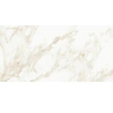 MASSA CALACATTA 18X36 POLISHED
