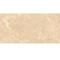 MASSA SATURNIA 12X24 POLISHED