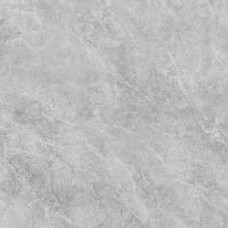 PORTO GRIGIO 48X48 POLISHED