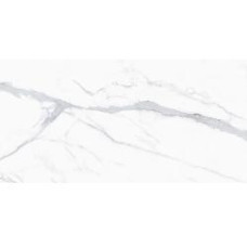 PORTOFINO VENATO 24X48