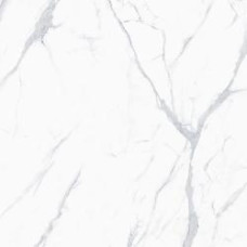 PORTO VENATO 48X48 POLISHED