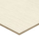 FOCUS GLACIER 12X24 MATTE